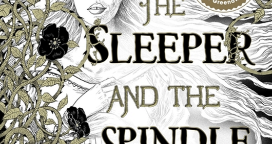 the sleeper and the spindle book
