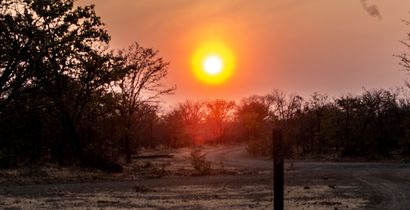 The end of cattle's paradise