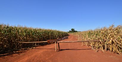 Entrance to the ancestral land of the Ava Guarani Tekoha Sauce community