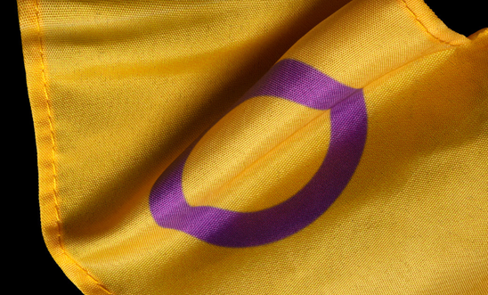 Intersex flag