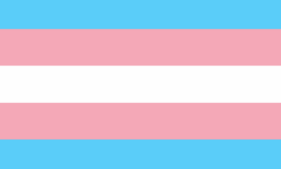 Trans equality flag Trans equality flag