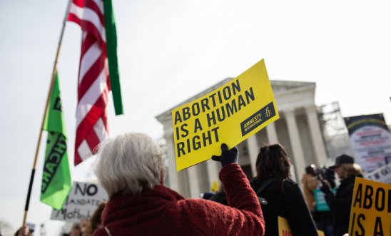 Protester holds placard saying 'Abortion is a human rights' in Washington DC