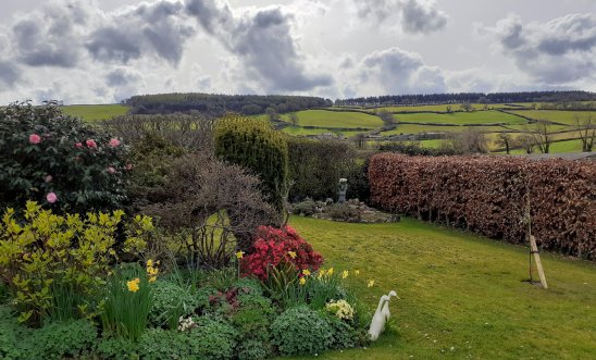 View of a garden