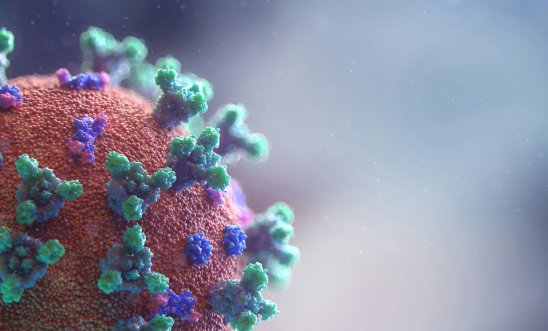 A close-up image of a Covid-19 virus molecule