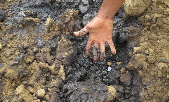 Contaminated land surrounds the Bomu Manifold, a Shell facility at Kegbara Dere (K.Dere), Rivers State, Nigeria, years after spills occurred.