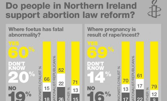 Northern Ireland: Contact Your MLA To Urge A Vote For Abortion Law ...